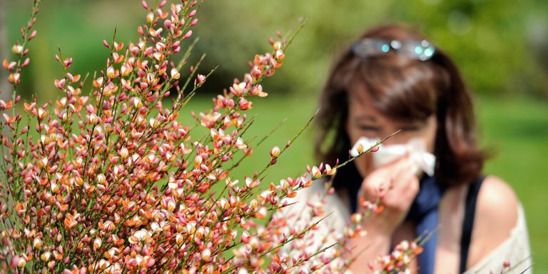 Les allergies: comment y remédier ?