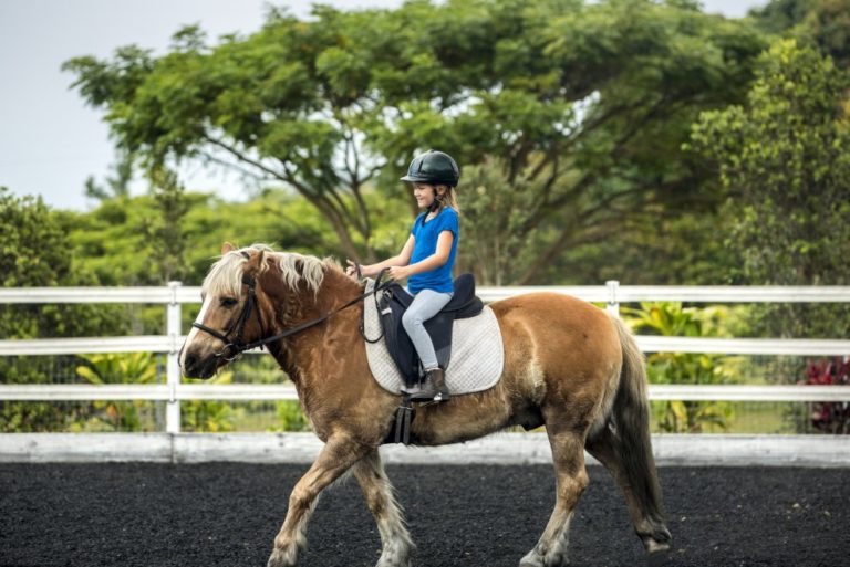 En équitation, comment devez-vous vous équiper ?